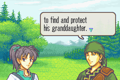 FE6ImageJ-1.png