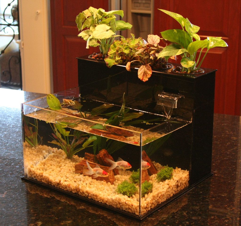 Fin to Flower Aquaponic Aquarium Midsize System B | eBay