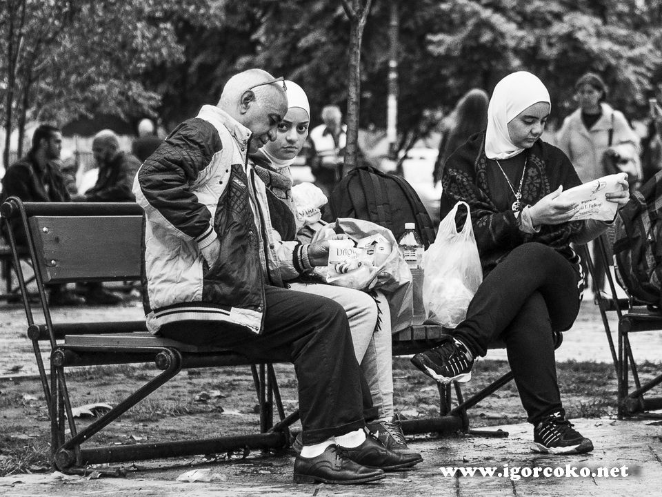 DSC_8340-Edit_zps1yzrcwmp.jpg