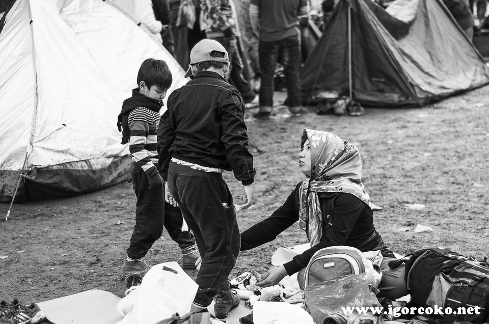 DSC_8670-Edit_zps3aeiqwwf.jpg
