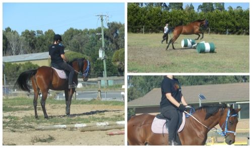http://i1308.photobucket.com/albums/s607/Sarah_Horse-Loving_Gleek/1ba11375-fc3a-4b35-a81b-ac379526470d_zps946984ca.jpg