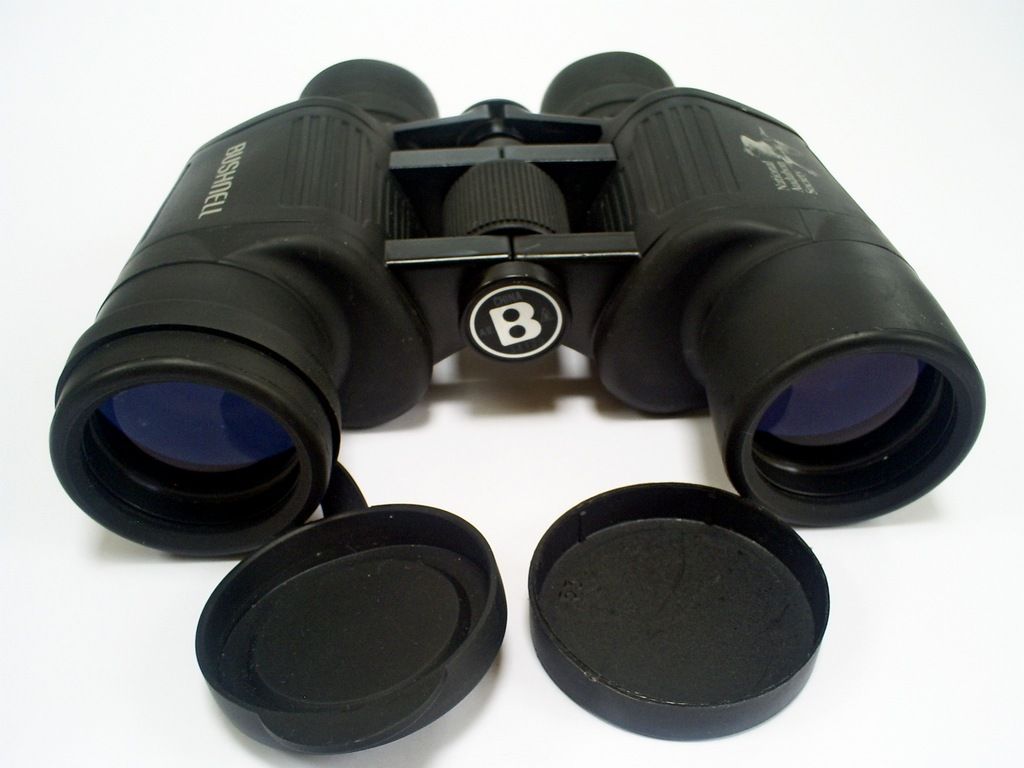 SUPERB BUSHNELL 8X42 WA RUBBER ARMOURED NATIONAL AUDUBON SOCIETY