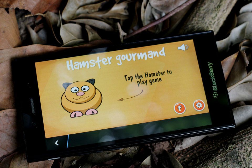Hamster Gourmand - tựa game giải đố cực hay không thể bỏ qua