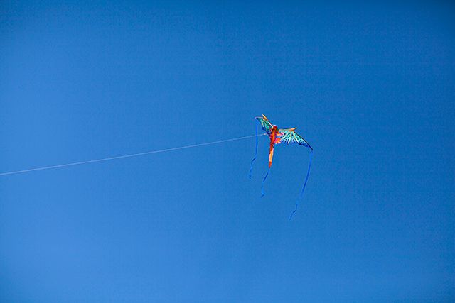 photo zilkerkitefestival2013_05_zpsc5a36609.jpg
