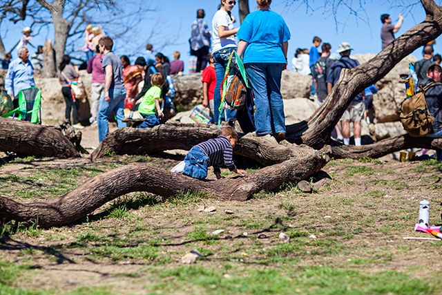 photo zilkerkitefestival2013_12_zps878f5d8d.jpg