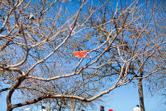 photo zilkerkitefestival2013_13_zps9f357fab.jpg
