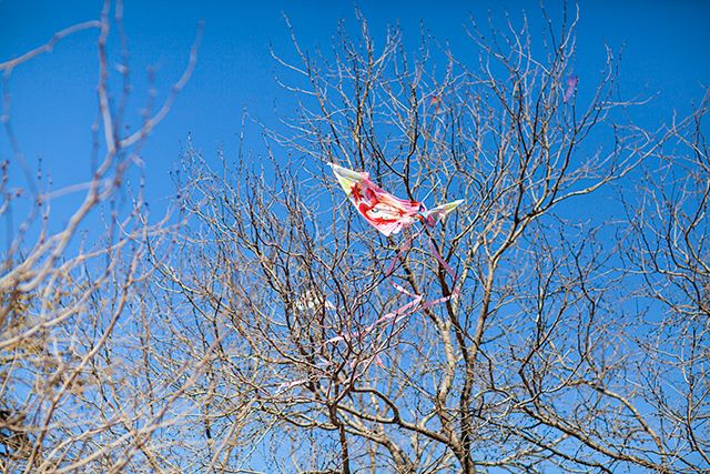 photo zilkerkitefestival2013_14_zpsc6609973.jpg