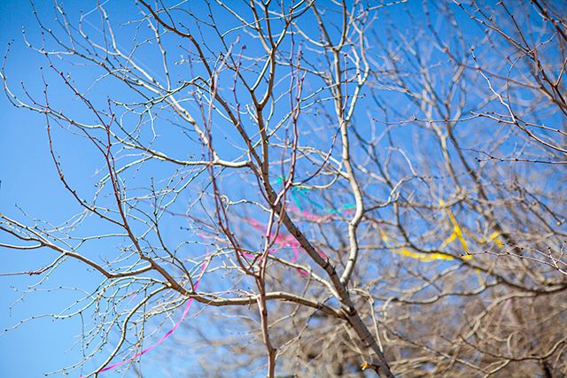 photo zilkerkitefestival2013_15_zpsa845f651.jpg