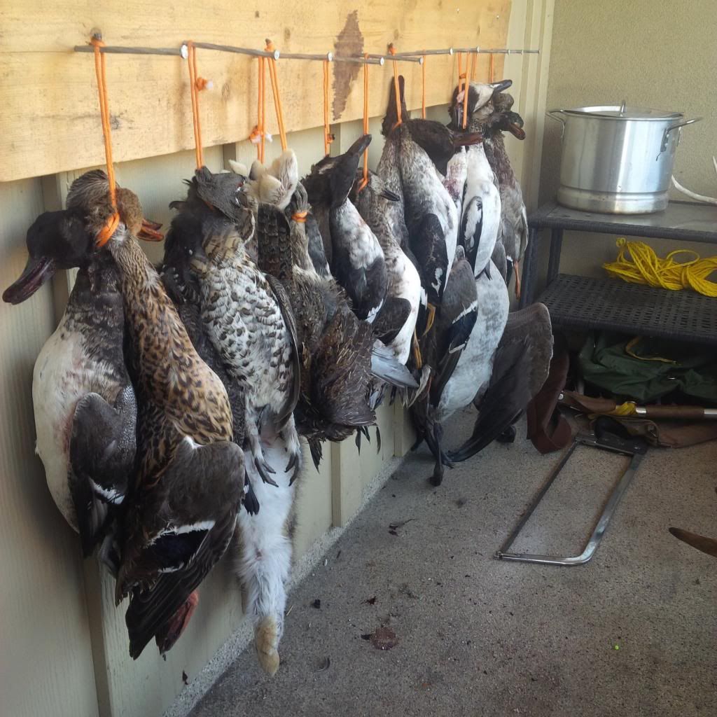 Duck Hunt Kamloops great weekend