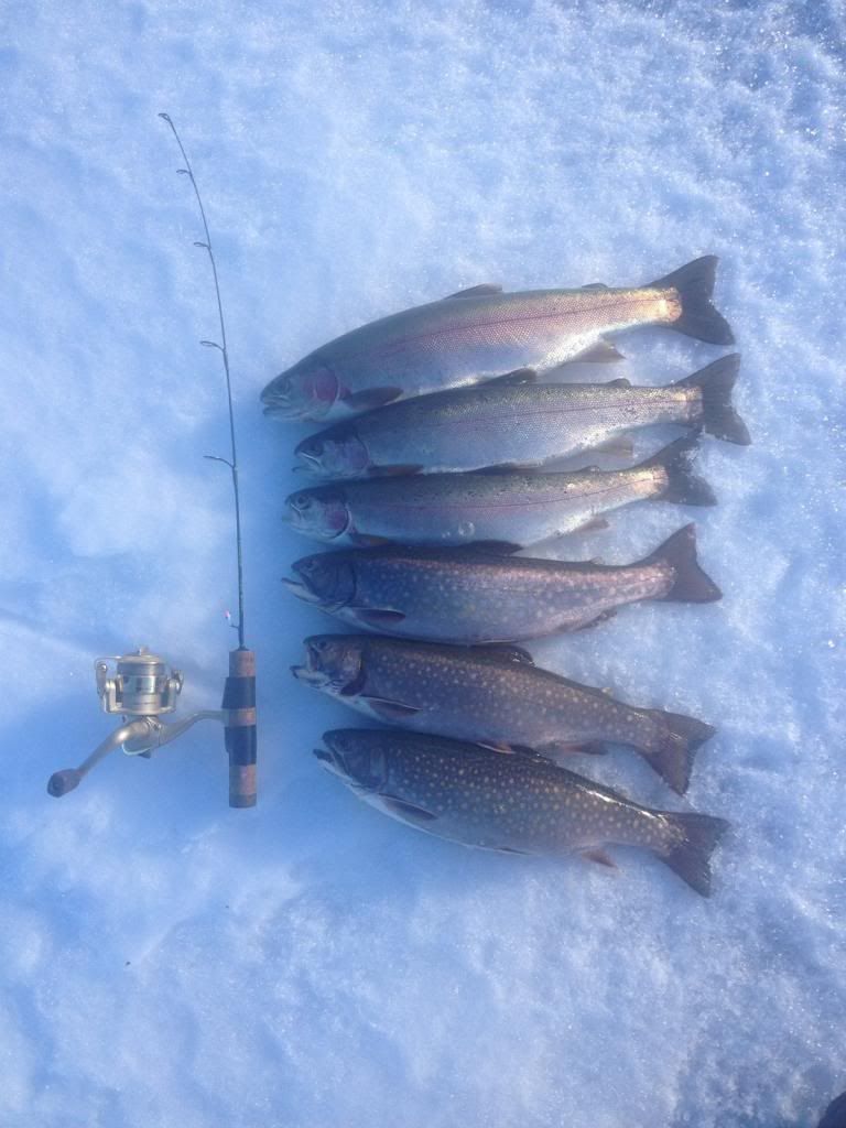 Ice Fishing Reports Kamloops 201314 Page 2