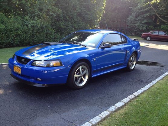 Purchase a 2003 Mustang Mach 1 - Forums at Modded Mustangs