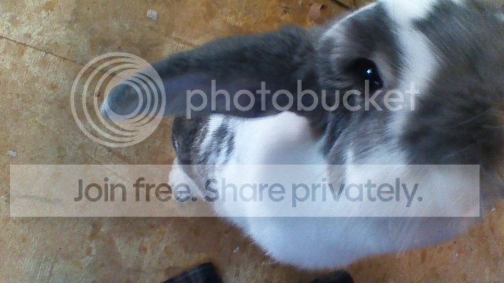 Photobucket