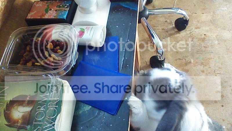 photo picture018_zpsf2dd47ce.jpg