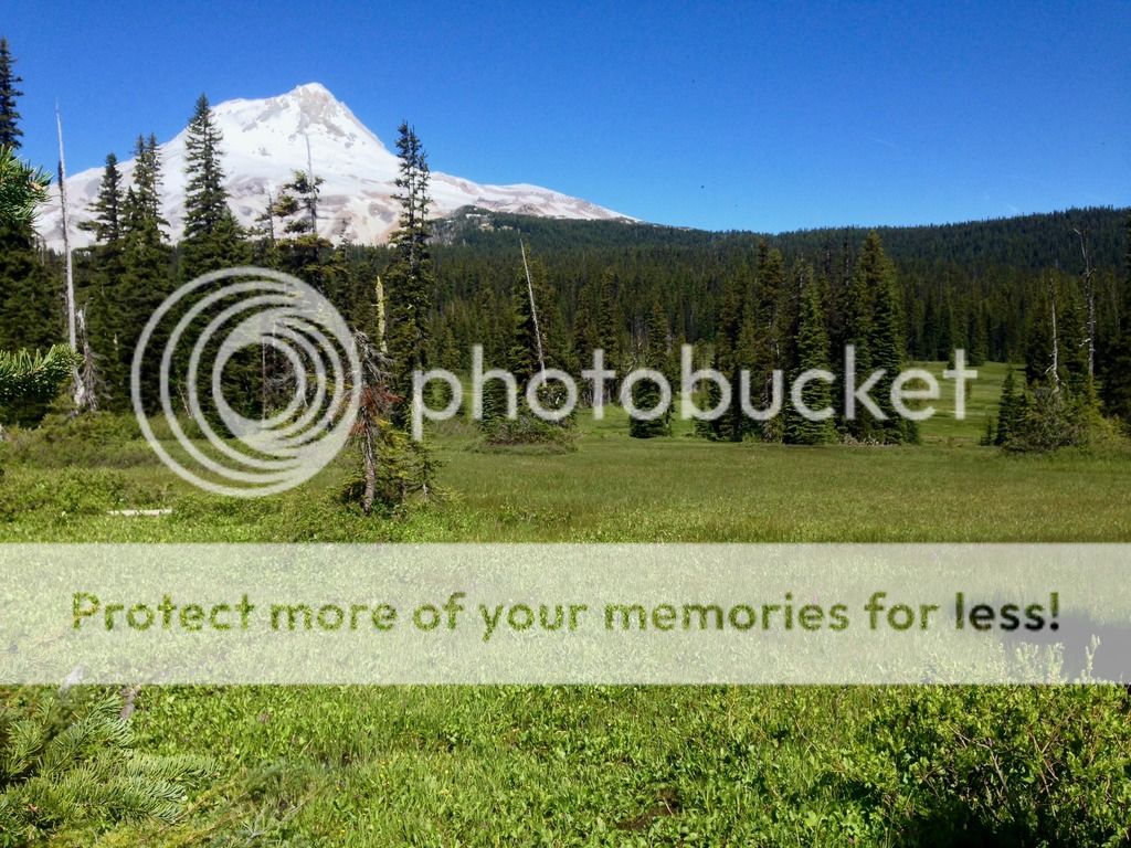 Elk Meadows, Newton Creek Trail 6/25 Oregon Hikers